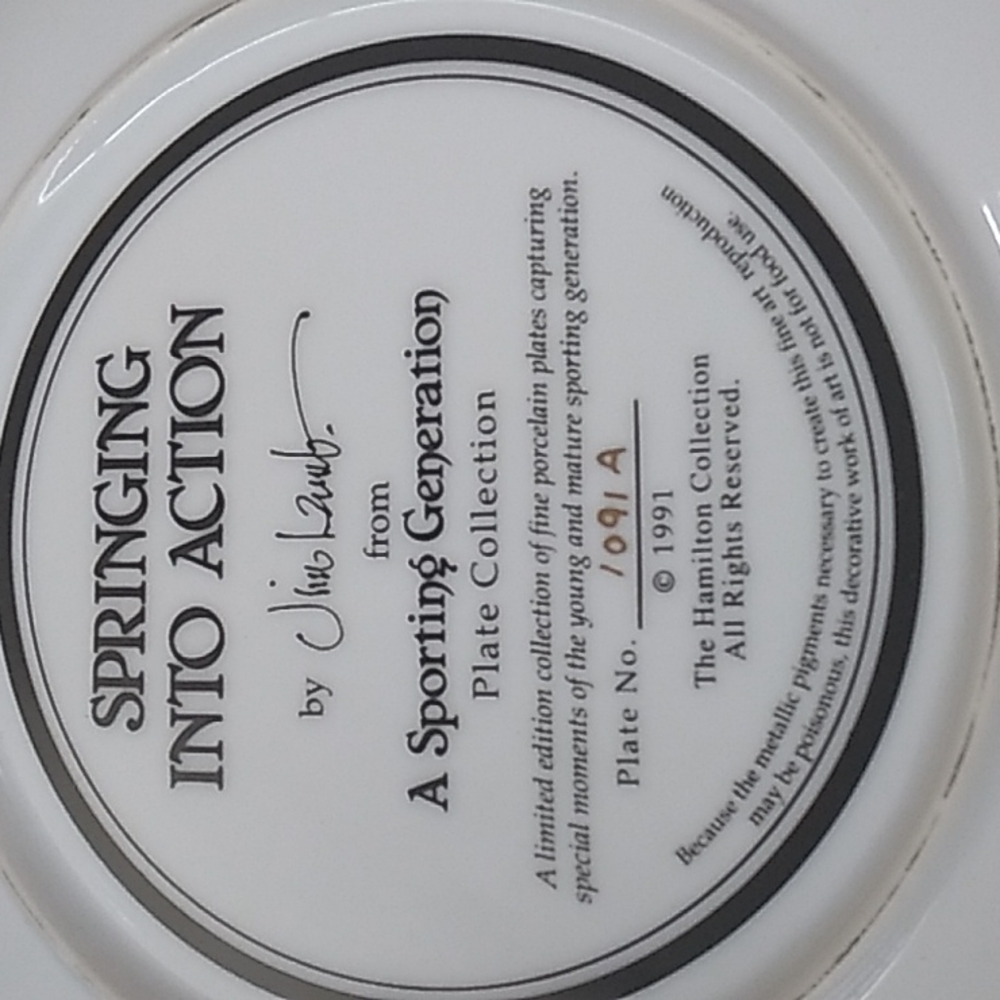 Springing into action plate - Picture 2 of 3